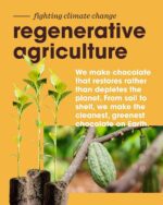 Alter Eco Mint Creme Truffle Thins, Dark Chocolate, 2.96 Oz - Image 5