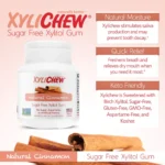 Xylichew Sugar Free Xylitol Gum, Natural Cinnamon, 60 Ct 2.75 Oz - Image 3