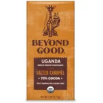 Beyond Good Organic Chocolate Bar, Salted Caramel, 2.64 Oz