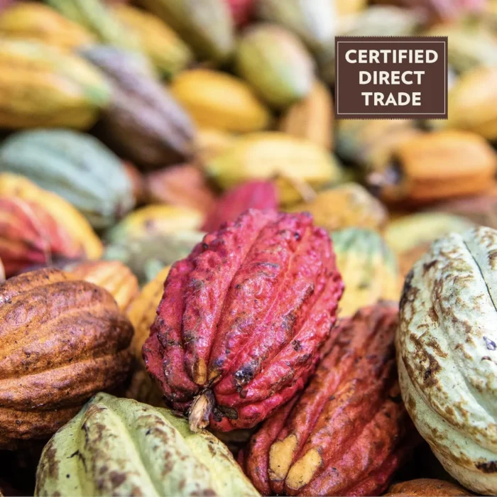 Beyond Good Organic Chocolate Bar, Salted Caramel, 2.64 Oz - Image 6