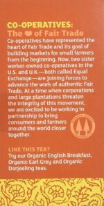 Equal Exchange Organic Chai, Black Tea, 20 Ct 1.41 Oz - Image 5