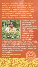 Equal Exchange Organic Chai, Black Tea, 20 Ct 1.41 Oz - Image 6