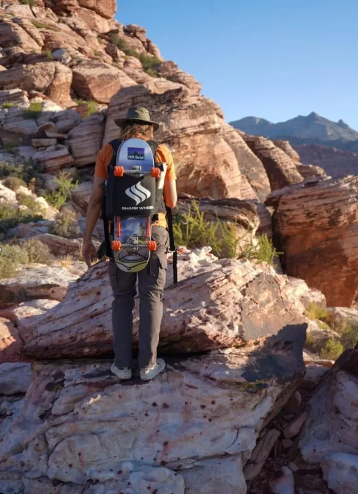 Shark Wheel Skateboard Cruising Wheels, Orange, 60 Mm - Image 2