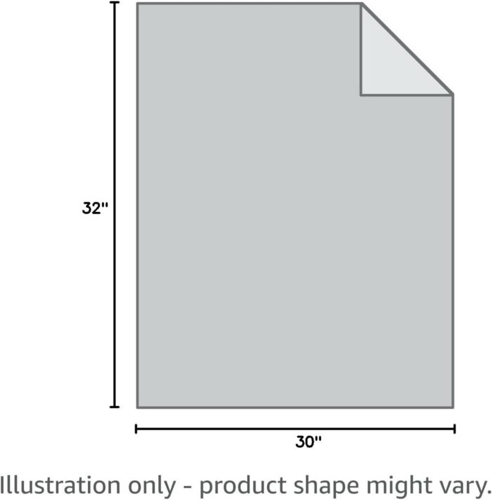 Barefoot Dreams CozyChic Leopard Blanket - Image 3