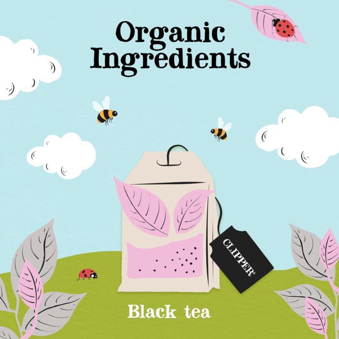 Clipper Organic Earl Grey Black Tea, 20 Bags - Image 3