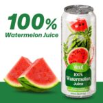 Vinut 100% Watermelon Juice, 16.57 Fl Oz