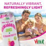 Vinut 100% Fruit Juice with Pulp, Red Dragon 16.57 Fl Oz 12 Pack - Image 4