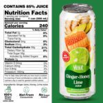 VINUT Ginger, Honey & Lime Juice, 16.9 Fl Oz - Image 4