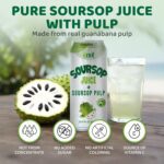 Vinut 100% Fruit Juice with Pulp, Soursop 16.57 Fl Oz 24 Pack - Image 3